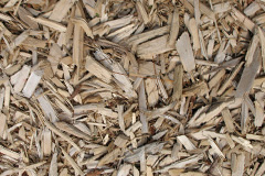 biomass boilers Stonea